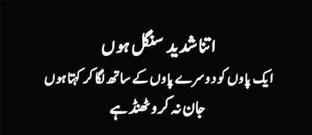 میں چاند کو سُناتا ہوں اب حالِ دل اپنا.میں اب زمین زادیوں پہ بھروسہ نہیں کرتا...