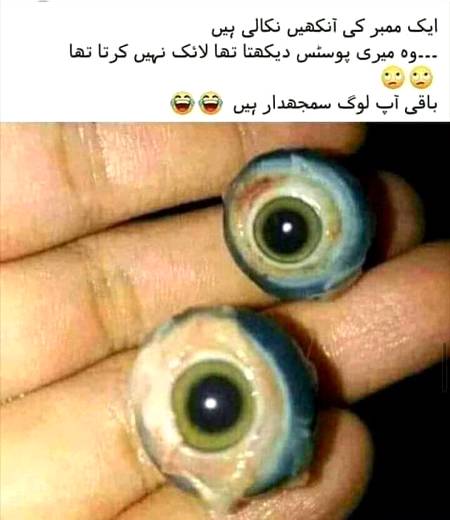 Baaki ap logg HUD smjdaar ha😏😏😏😏