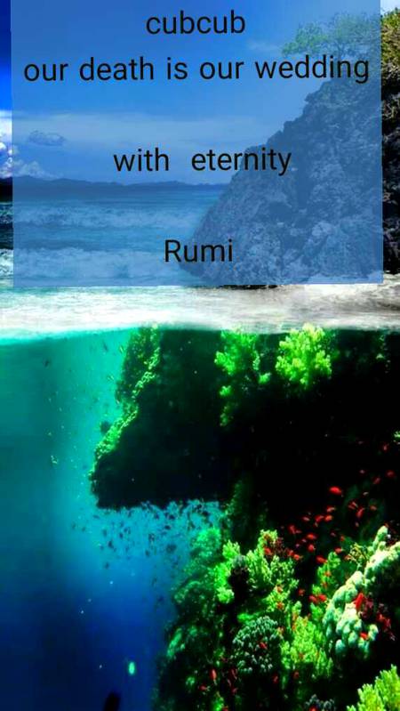 RUMI'S WORDS