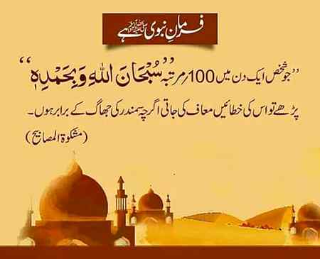 میری بخشش وسیلہ محمد صلی اللہ علیہ والہ وسلو  دا اے ۔