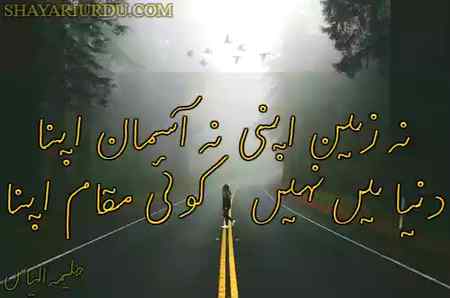 True 🌸🌸🌸🌸