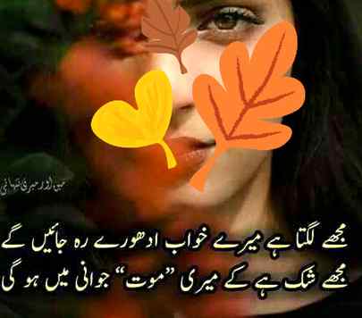 ⚘🌹🥀⚘🥀🌹⚘🥀🌹⚘🥀🌹⚘🥀🌹⚘🥀🌹