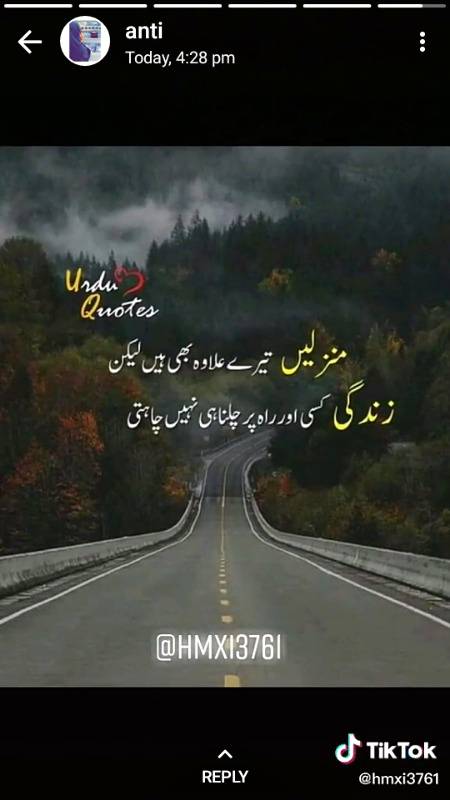 Mazilen tere ilawa or bhi han