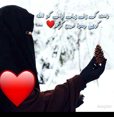 *خواتین کا سر ڈھانپنا


*فضا میں موجود گرد و غبار میں قسم قسم کے مضر صحت جراثیم اور وائرس ہر وقت موجود ہوتے ہیں یہ سر کے با لوں سے چپک کر وہاں جمع ہوتے ہیں اور بالوں کی چکنائی میں نشو نما پاتے ہیں بالوں کو چھونے یا خارش کرنے سے بال جھڑتے ہیں اور کھانے پینے کی اشیاء میں گر کر انہیں جراثیم سے آلودہ کر کے بیماری کا باعث بن سکتے ہیں لہٰذا خواتین کو گھر میں بھی خصوصاً کھا نا تیار کرتے وقت اور کھانا پیش کرتے وقت سر کو لازماً ڈھانپ کر رکھنا چاہیے ہمارے پیارے نبی ﷺ نے عورتوں کیلئے سخت تلقین فرمائی کہ وہ سر ڈھانپ کر رکھا کریں اس میں ایک بڑی حکمت یہ بھی ہے کہ اس سے ہم بیماریوں سے بچ سکتے ہیں ....*