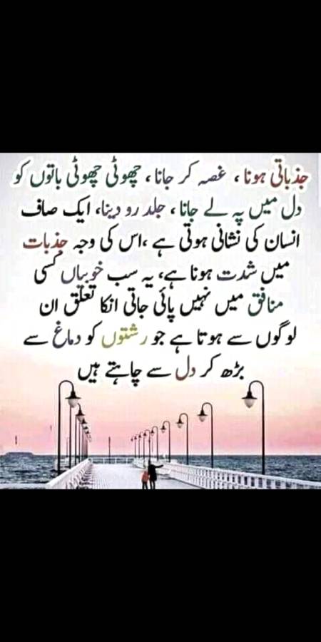 Yeh Sub Saf Insan ki Nishani Hay