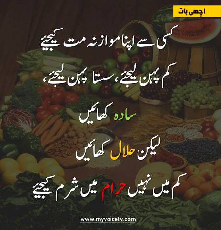 🤲.  🤲 Sedhy rasty py chalin