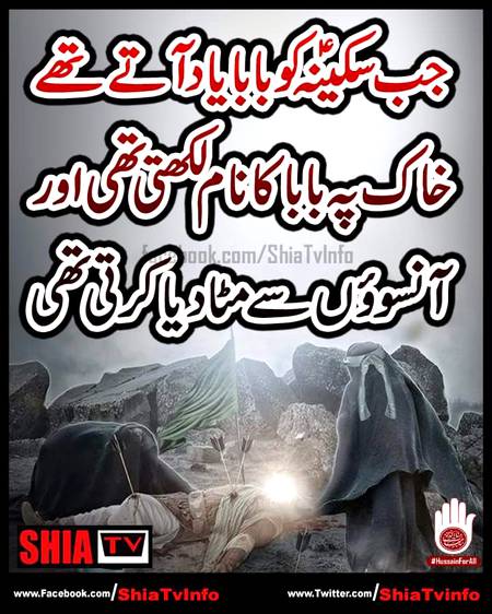 جب سکینہ کو بابا یاد آتے تھے خاک پہ بابا کا نام لکھتی تھی اور آنسوئوں سے مٹا دیا کرتی تھی
