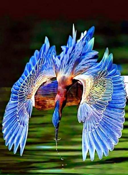 Amazing Bird!