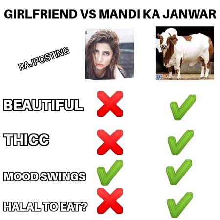 The Choice is yours