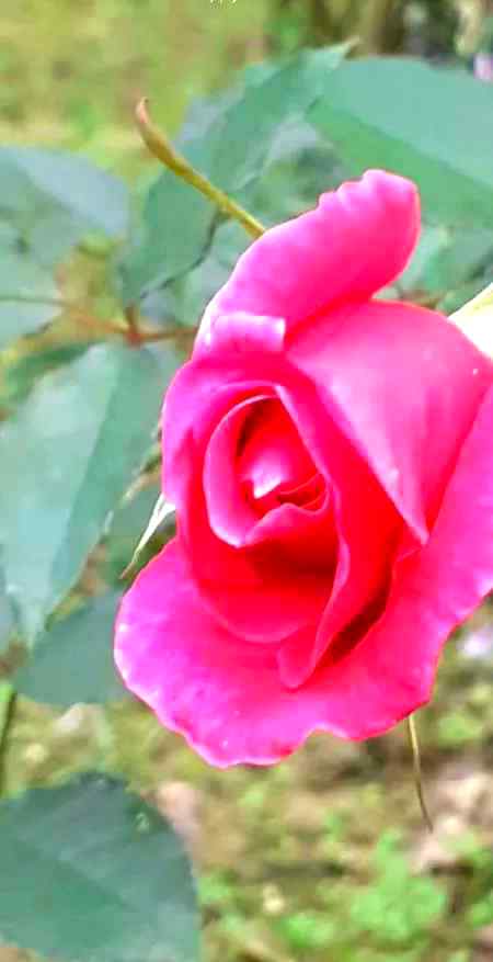 Jin se khafa na huwy thy kbhii,,,Un se judaa hogay hum.