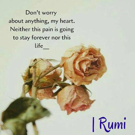 RUMI'S WORDS