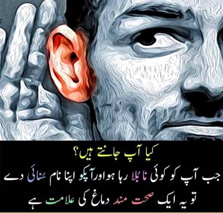Kiya ap janty hain🤔🤔🤔