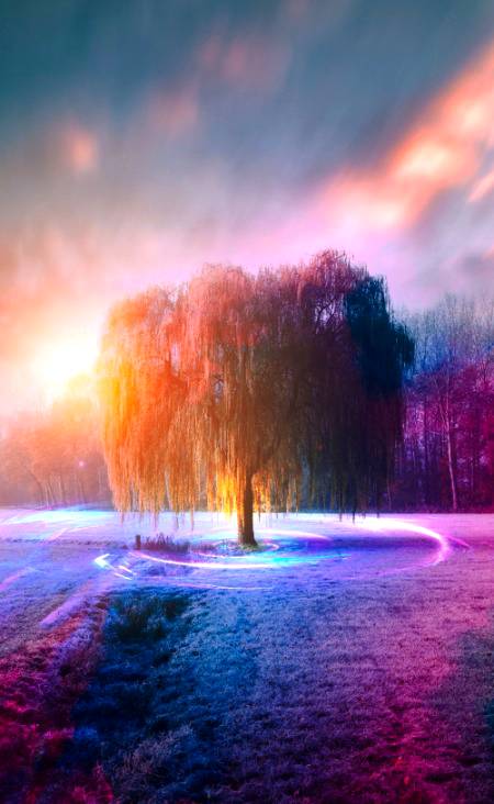 کتنے جھوٹے تھے ہم محبت میں.. 
 تم بھی زندہ ہو میں بھی زندہ ہوں