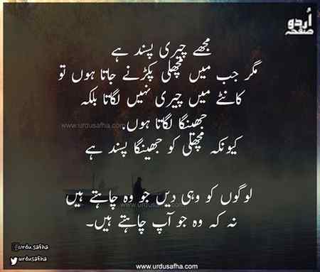Nice lines