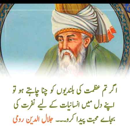 Hlo friends