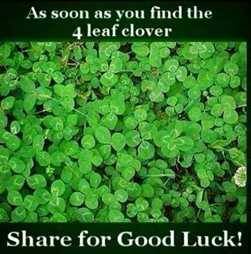 Check Your IQ....