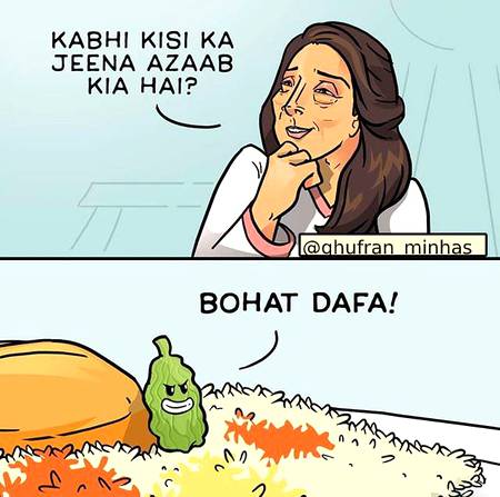 elaichi biryani ka sara maza hi kharab kr daiti hai..