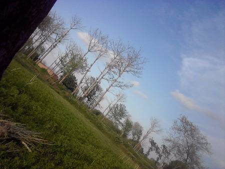 Our villages natural scene clicked by my sister aish👌