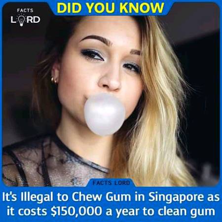 Unbelievable facts 💥💥