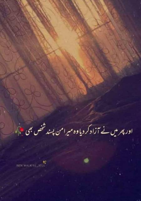 Sad life ...