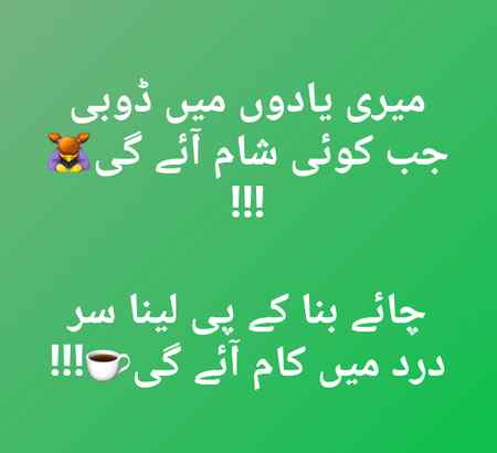 🍁Zoq_Shab🍁