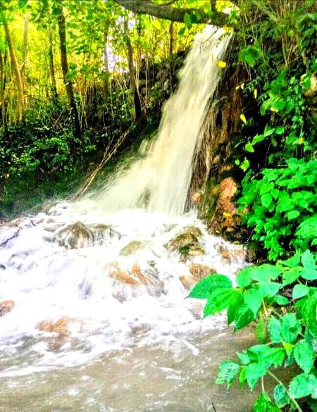 Natural beauty 😍
Clicked by Umer 🔥