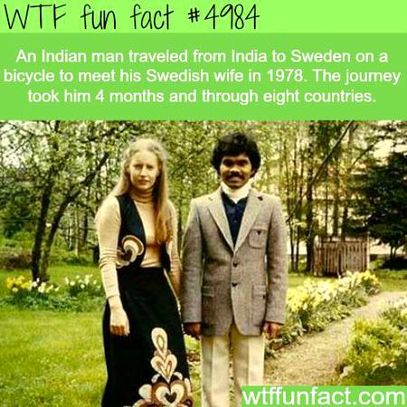 WTF fun fact