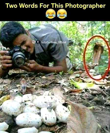 Two words for this photographer