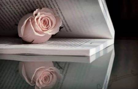 وہ کاغذ آج بھی پھولوں کی_طرح مہکتا ہے💓
جس پر تم نے مزاق میں لکھا تھا مجھے محبت ہے تم سے💓
❤ 🌺 😍❤️😍