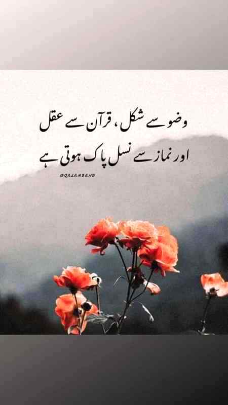 Beshaqe .....