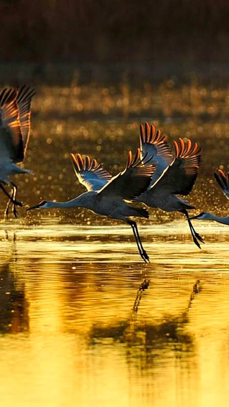 Beautiful photography