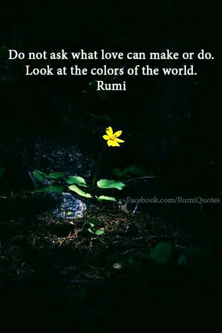 RUMI'S WORDS