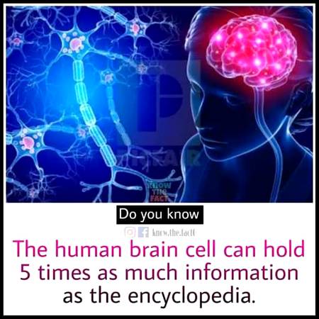 Did u know?