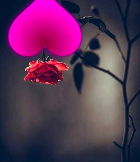 *محبت اور عزت کے لئے بیشک جھک جائیں*
*مگر محبت اور عزت کسی سے جھک کر نہ مانگیں🍁*