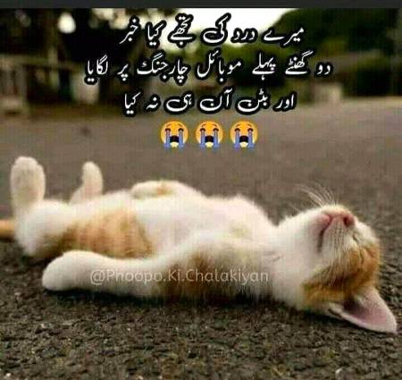 Ks ks k sth esa hua ha..???