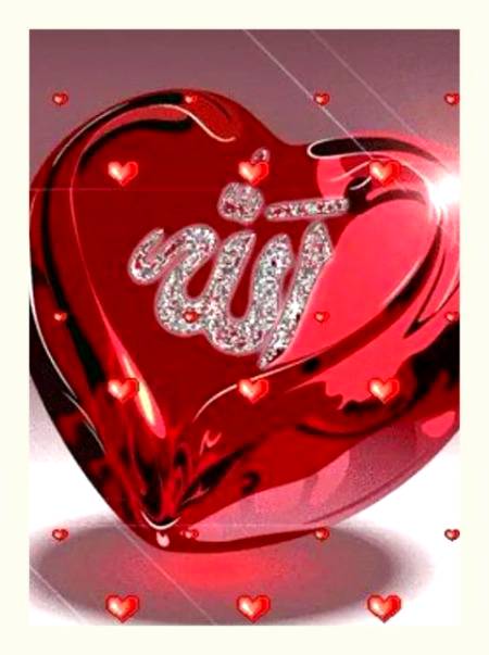 🌹🌹ﷲﷻﷲﷻﷲﷻﷲﷻ🌹🌹