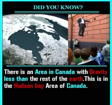 Amazing facts