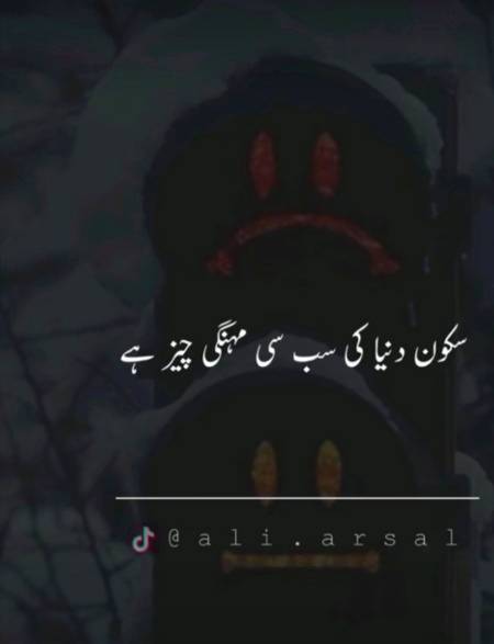 Bilkul 💯💯😇🤫🤓