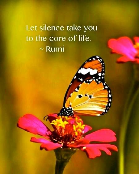 RUMI'S WORDS