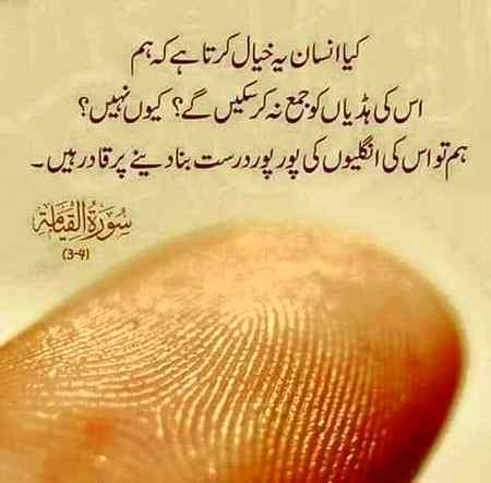 Hlo.friends