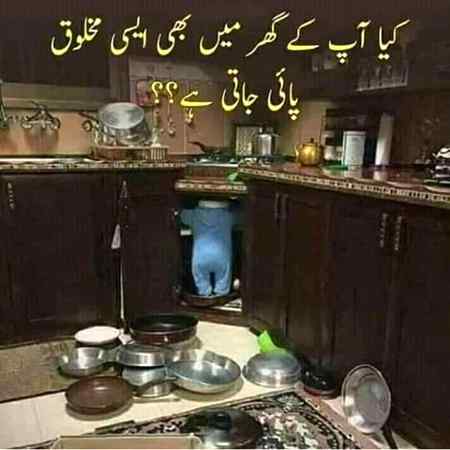 Kya apka ghar main hai?