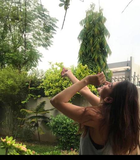 Pakistani Celebs image