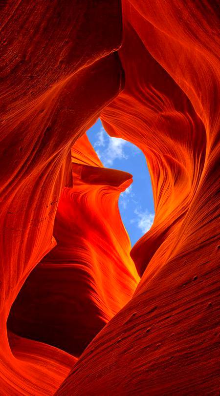 Canyon,Arizona,Realm of USA