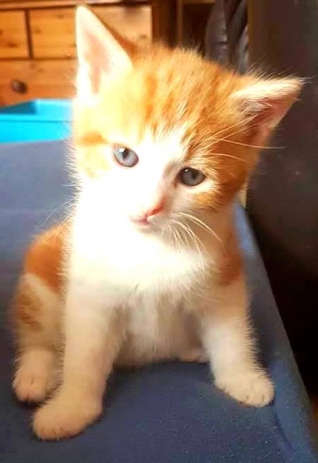 ❤💋😻Meri sweety kse ha😻💋❤