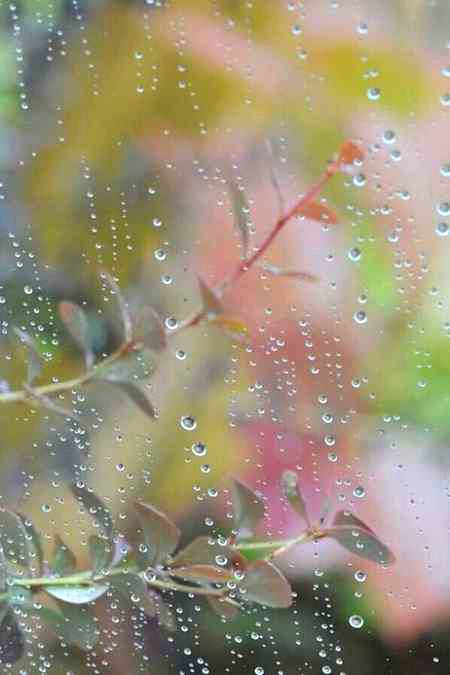 ❤Prinsess❤
❤Happy 💦Rainy💦 Day❤Enjoy ❤Beautiful Weather ❤