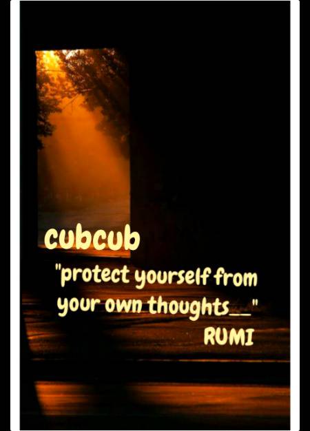 RUMI WORDS