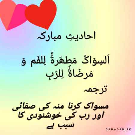 احادیثِ مبارکہ