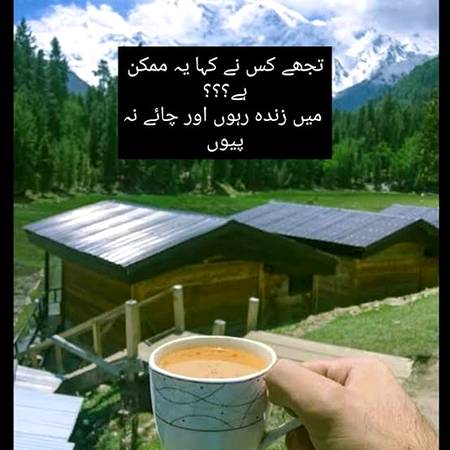 Tea lovers...🙃🙃🙃