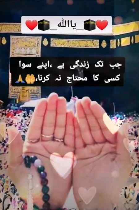 🌹🌹AMEEN SUMA AMEEN🌹🌹