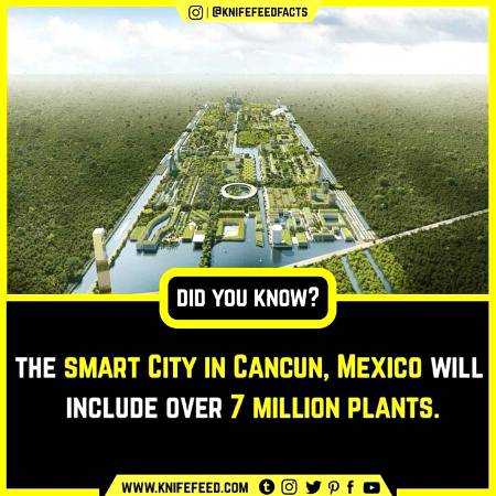 DID YOU KNOW??